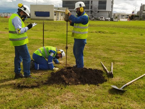 Ultima (17) Ultima (17)